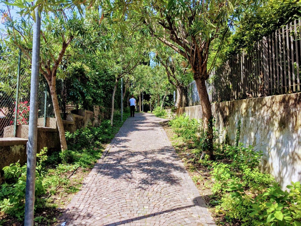 Apartamento La Briciola Sirmione Exterior foto